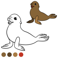 Coloring page with colors. Brown little cute baby fur seal.