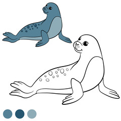Coloring page with colors. Spotted little cute seal.