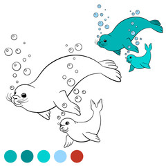 Coloring page with colors. Mother seal swims with her baby.