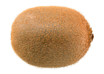 Fresh Green Kiwi Fruit