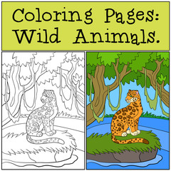 Coloring Pages: Wild Animals. Cute jaguar in the forest.