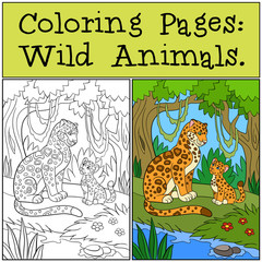Obraz premium Coloring Pages: Wild Animals. Mother jaguar with her cub.
