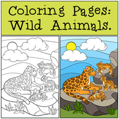 Naklejka premium Coloring Pages: Wild Animals. Mother jaguar with her cubs.