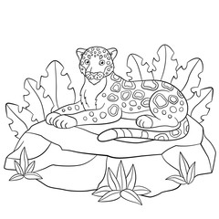 Coloring pages. Cute jaguar smiles.