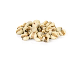 Millet rice , millet grains isolated