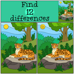 Obraz premium Educational game: Find differences. Cute jaguaron the stone.