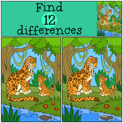 Naklejka premium Educational game: Find differences. Mother jaguar with her cub.