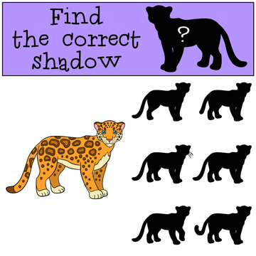 Educational game: Find the correct shadow. Cute spotted jaguar s