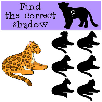 Educational game: Find the correct shadow. Cute jaguar smiles.