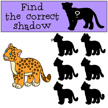 Educational game: Find the correct shadow. Little cute baby jaguar.