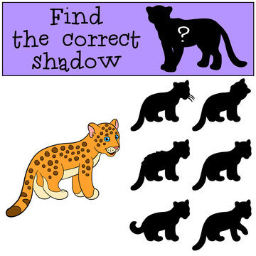 Educational game: Find the correct shadow. Little cute baby jaguar.