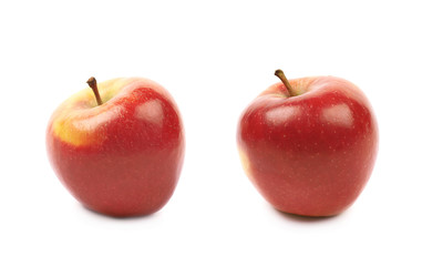 Ripe red and golden jonagold apple