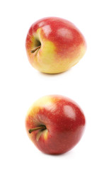 Ripe red and golden jonagold apple