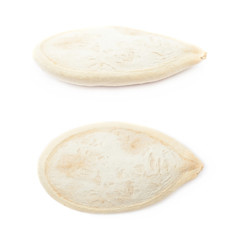 Pumpkin seed close-up isolated