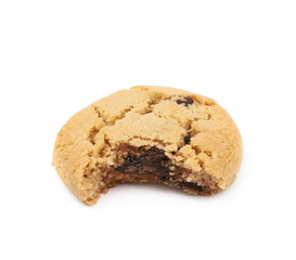 Chocolate chip cookie isolated