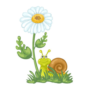 Illustration of cute cartoon snail and daisy flower