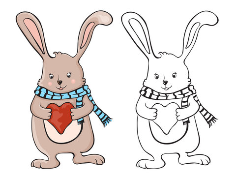 Cute little bunny holding love heart. Coloring book.