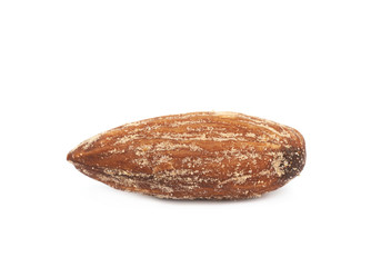 Almond nut isolated