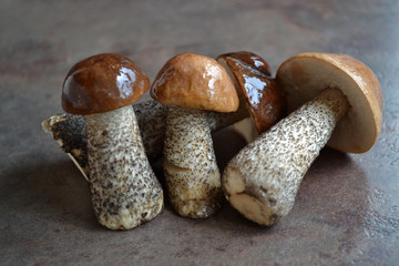 Wet mushrooms are on a dark background.