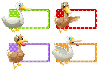 Square tags with ducks