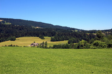 gemähte Bergwiese mit Hügel im Hintergrund