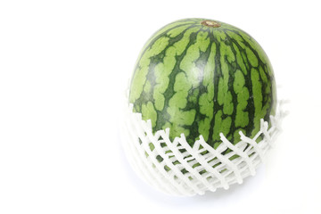 Japanese watermelon fruit isolated