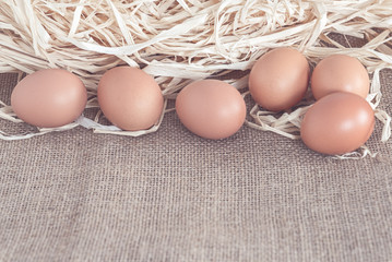 eggs on dry grass