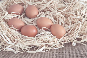 eggs on dry grass