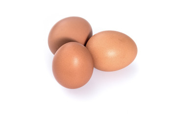 eggs on white background