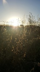 początek dnia © michalsen