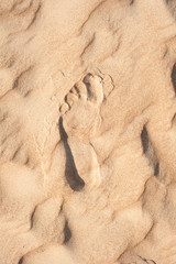 Foot print