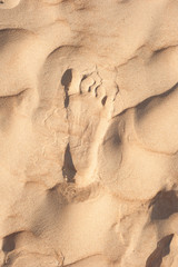 Foot print