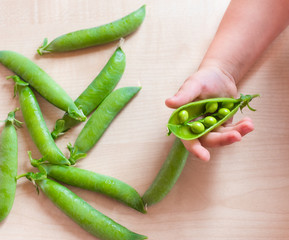 pea pods and children's hands on the table background