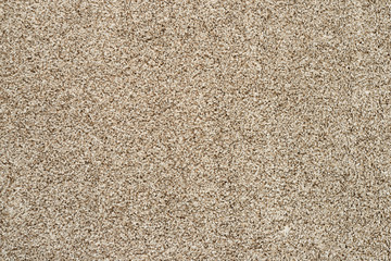 Carpet or rug texture. Abstract background.