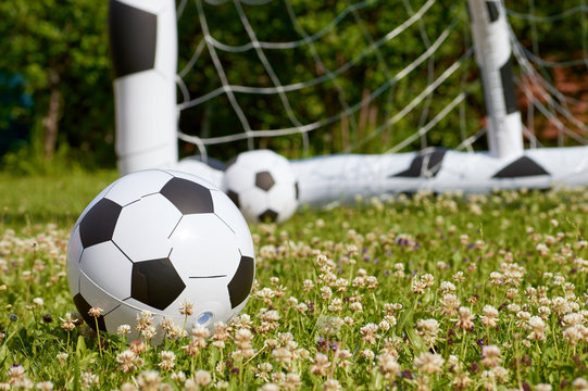 soccer balls on the grass