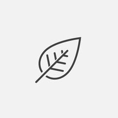 leaf line icon, outline vector logo illustration, linear pictogram isolated on white
