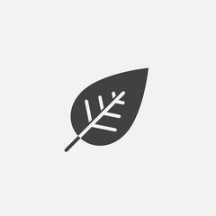leaf icon vector, solid logo illustration, pictogram isolated on white