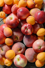 peaches and apricots