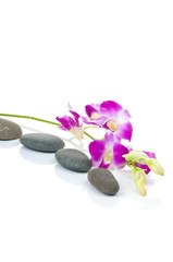 Fototapeta na wymiar Orchid and spa-stones on white background