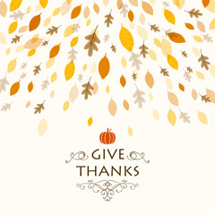 Vector Illustration of a Thanksgiving Background Design with Autumnal Leaves