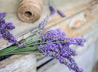 Obraz na płótnie Canvas Bunch of lavender flowers