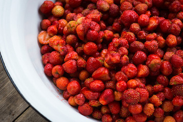 Fresh strawberry. Shallow depth of field.