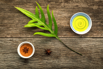 Branch of fern leaves with nature spa ingredients cinnamon powde
