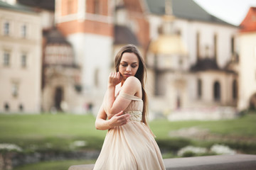 Fototapeta premium Girl in luxurious long dress on street of old town