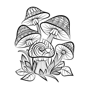 Hand drawn doodle outline mushrooms. Vector zentangle illustration. Sketch for adult coloring pages