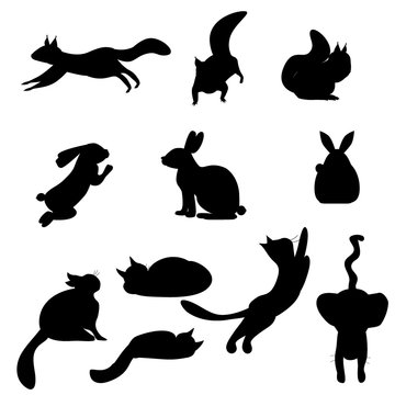 Isolated black silhouettes cat, rabbit, squirrel