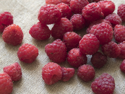 scattering of fresh raspberries on a fabric background