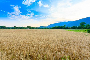  Italian countryside landscape