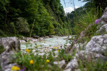Fototapeta na wymiar Fluss in Österreich