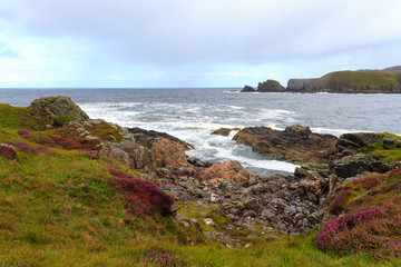 Rural scottish panorama